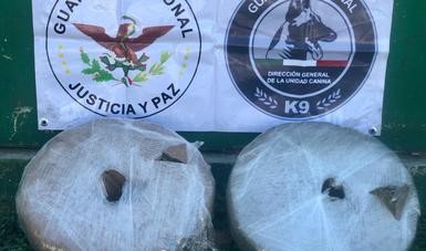 MARIGUANA 28 MAYO