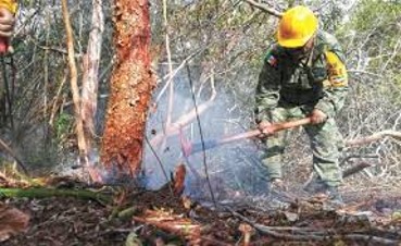 incendios 23 mayo