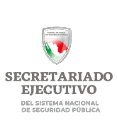 SESNSP
