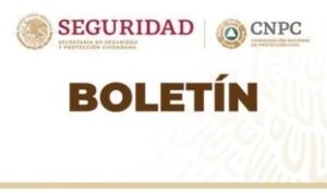 boletin