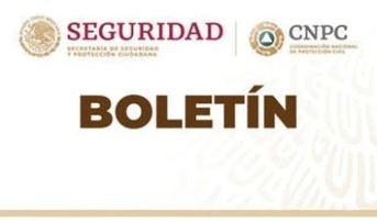 boletin
