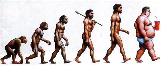 evolucion_obesidad
