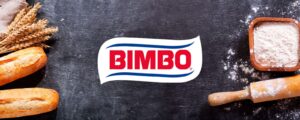 bimbo-1