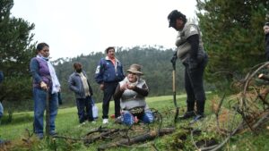 Ajusco.