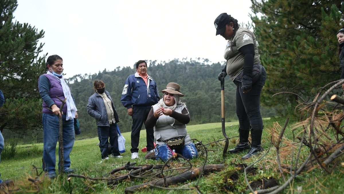 Ajusco.