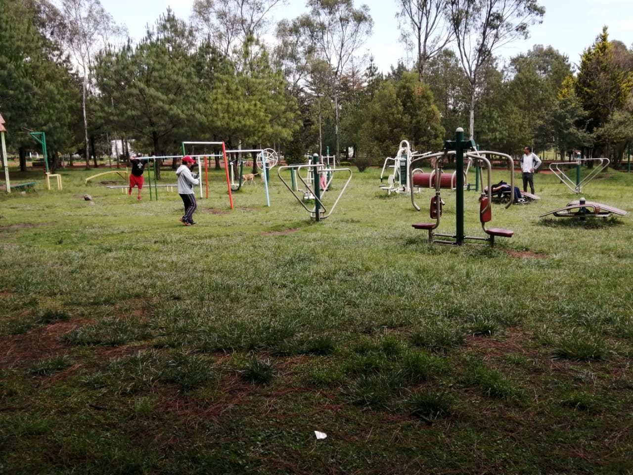 Parque-Alameda-2000-