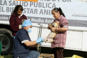 VACUNACIÓN-Y-ESTERILIZACIÓN-26