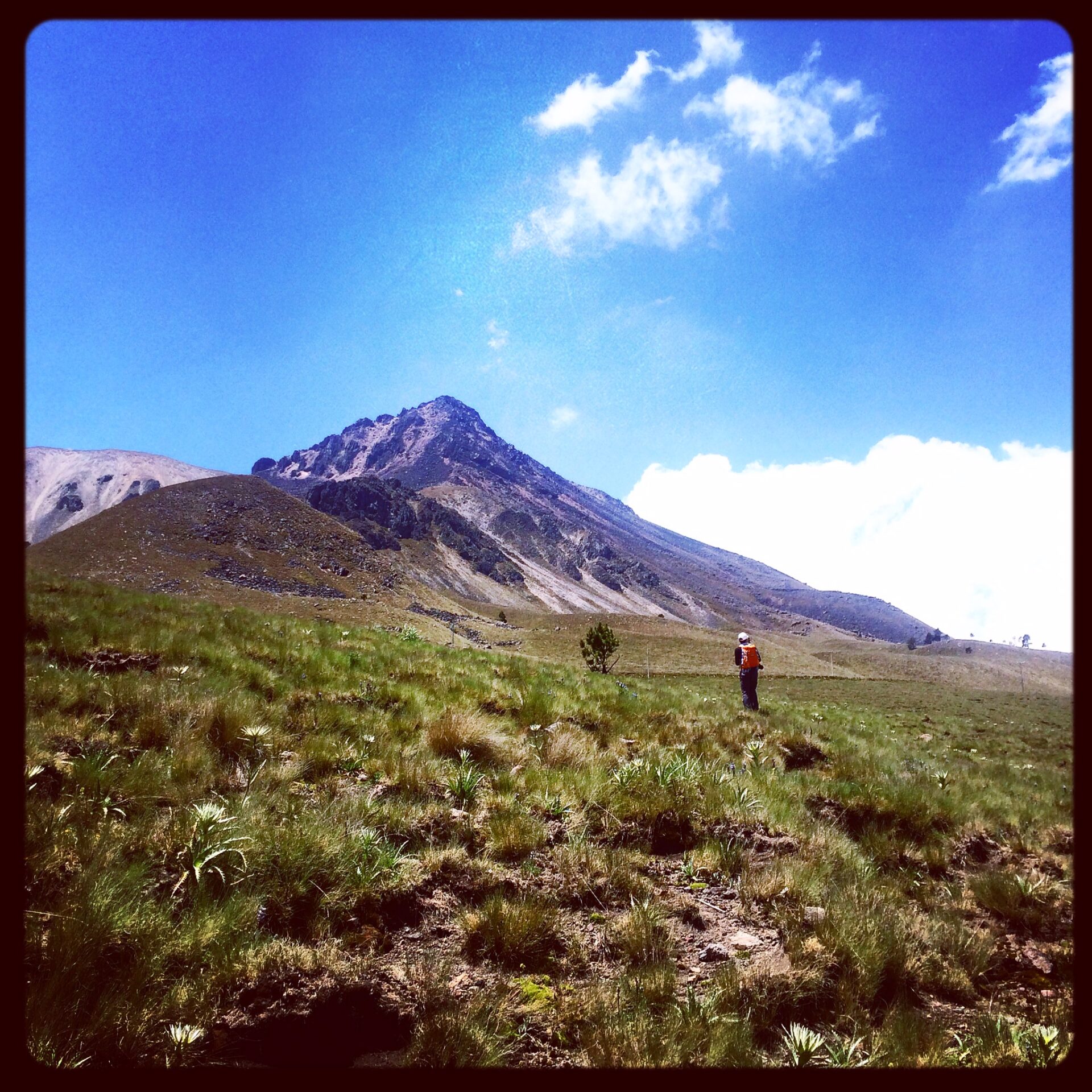 nevado