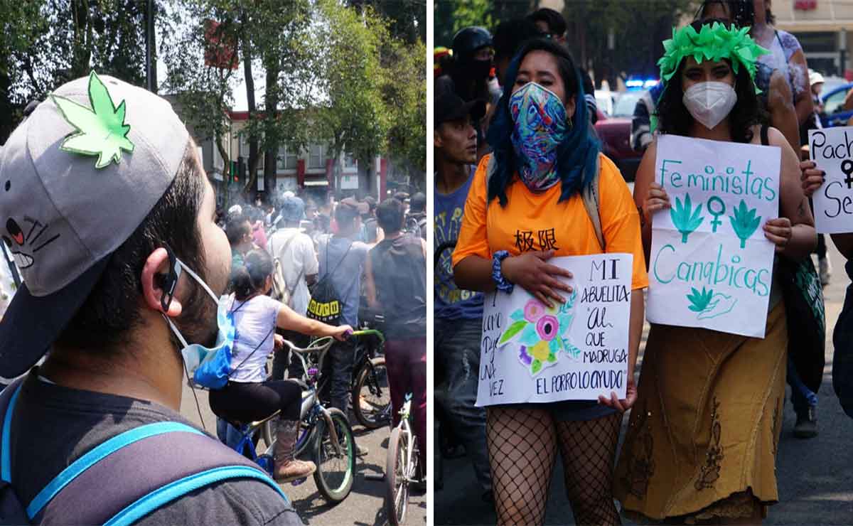 colectivos-piden-legalizar-la-marihuana-en-toluca-5-160494