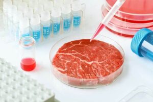 cultivo-de-carne-foto-especial-2
