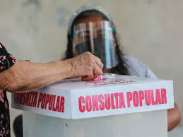 consulta popular