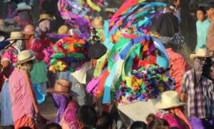 otomi