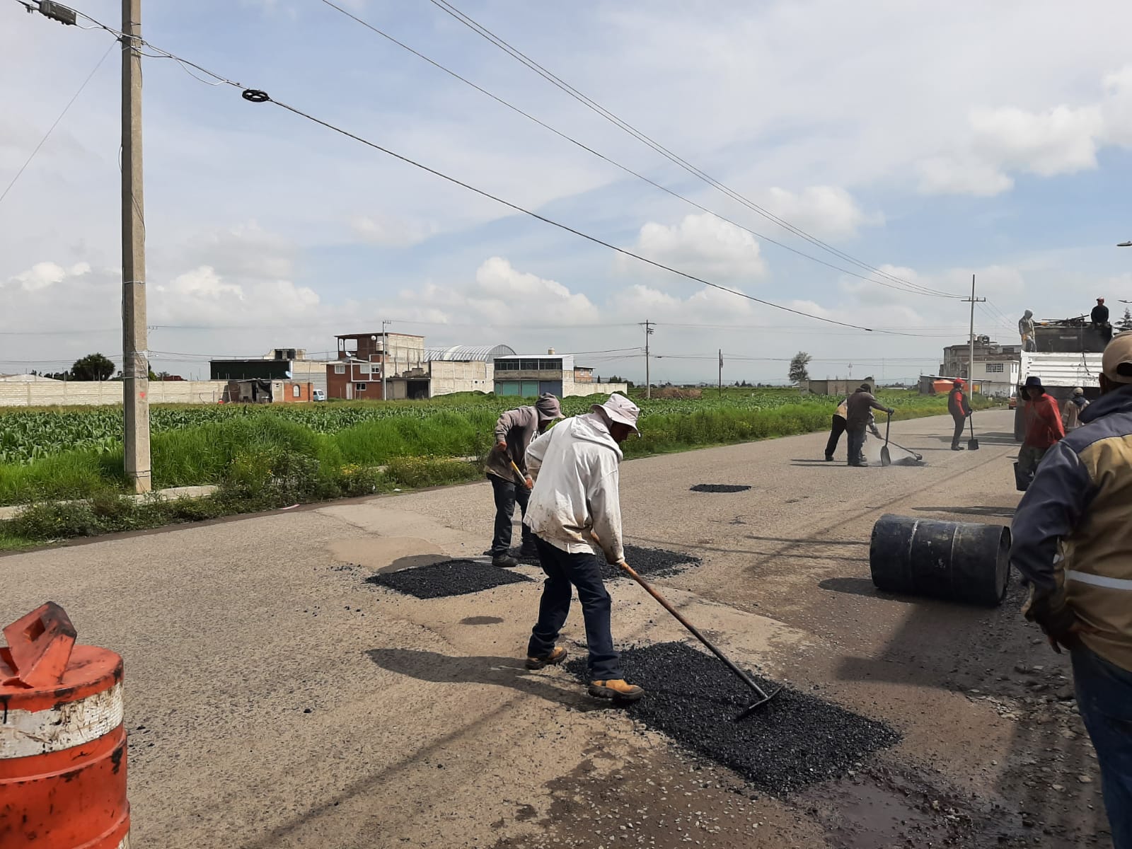 BACHEO-2
