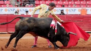 corrida-toros-plaza-de-toros-640x360