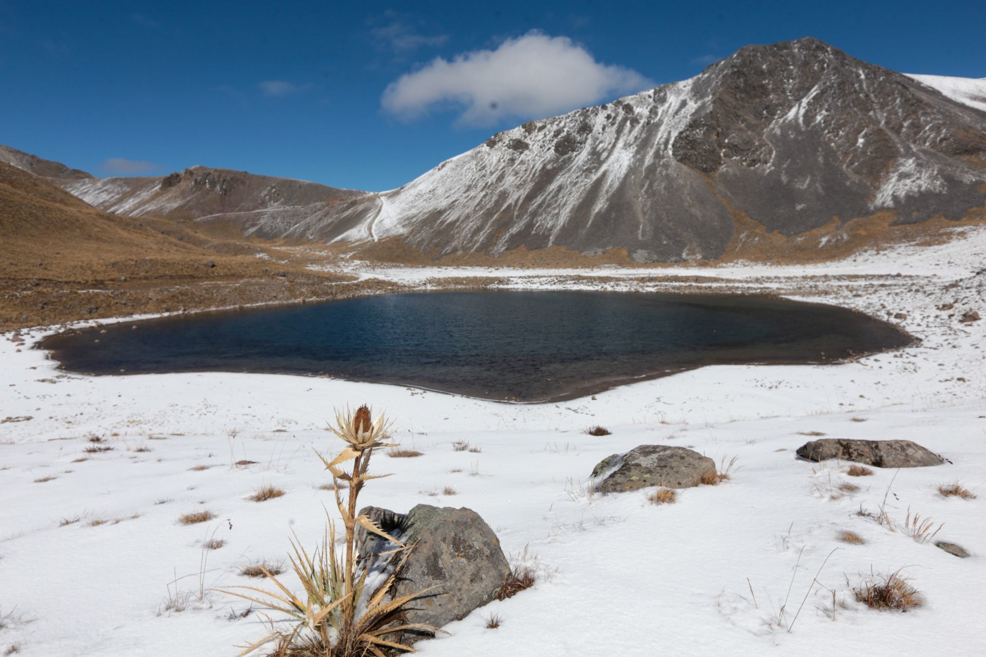 Ante las bajas temperaturas se han registrado en la zona  del Volcán Xinantécatl Policías  estatales, PC y servicios de urgencias vigilan el lugar  y el acceso a visitantes es restringido, que se ven atraídos por el paisaje nevado.