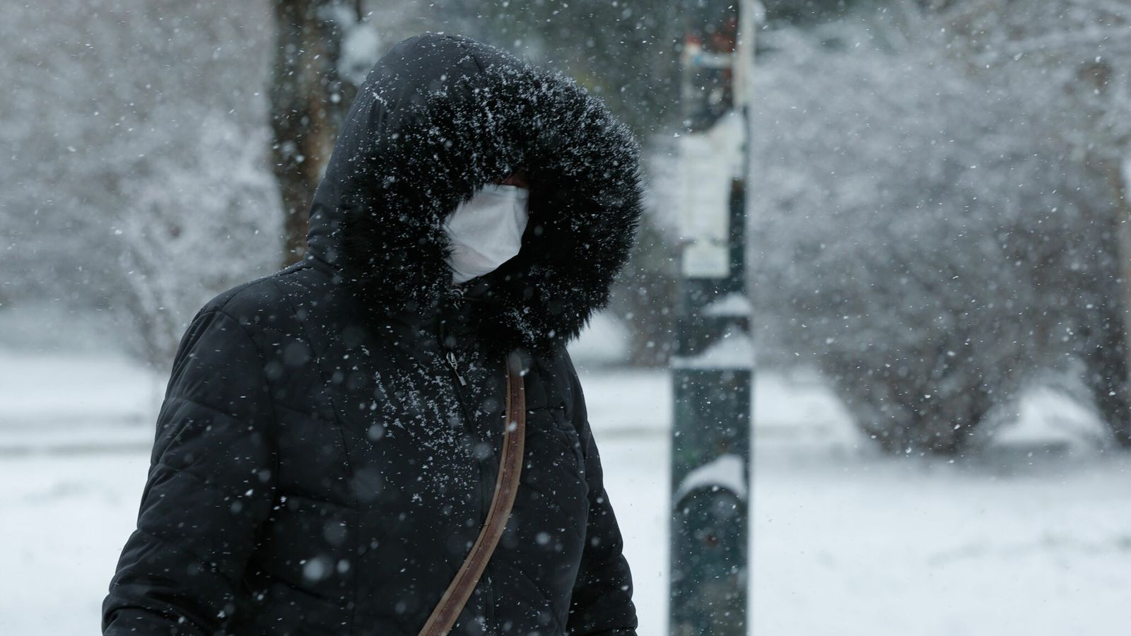 winter-1208078363