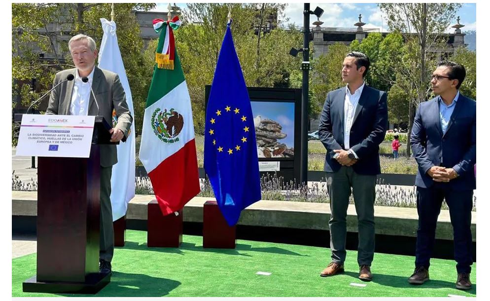 toluca