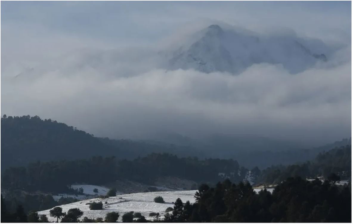 nieve