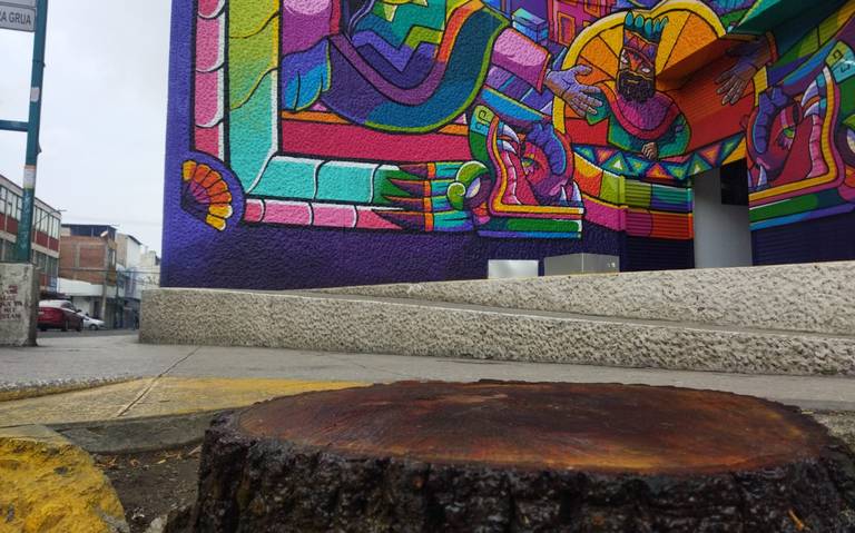 arbol tolzú