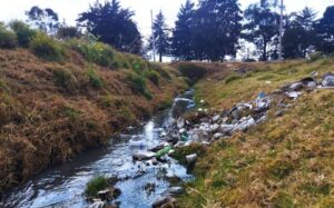 ríos basura toluca