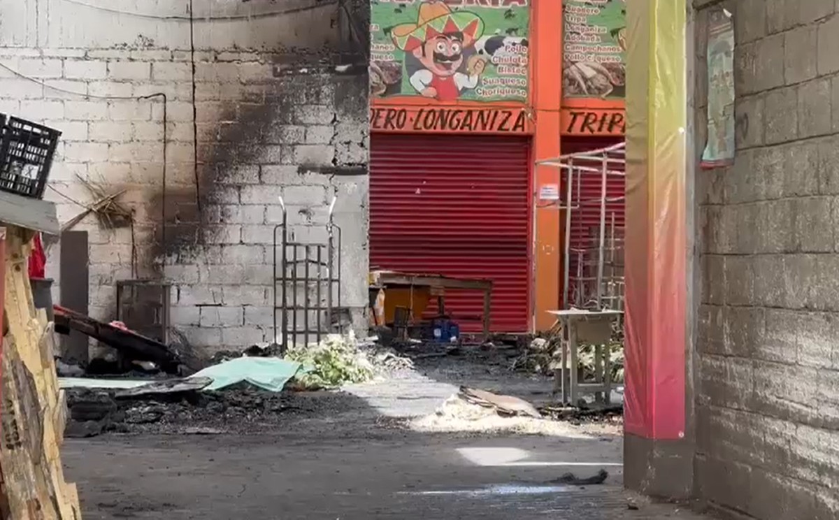 central-abasto-toluca-incendio-mario