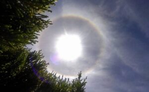 halo solar 1