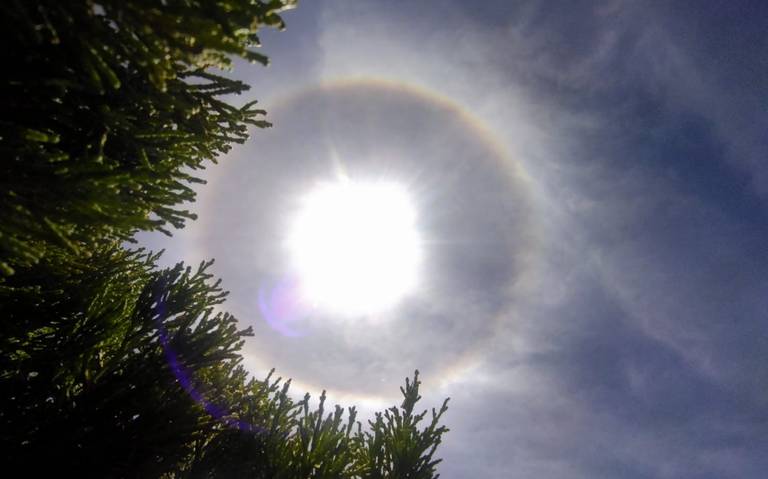 halo solar 1