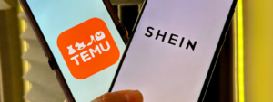 temushein