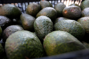 aguacate---