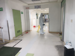 imss---