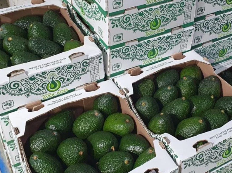 aguacate---