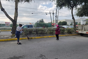 toluca