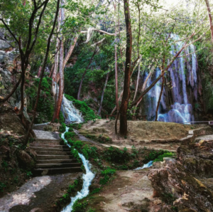 elsalto